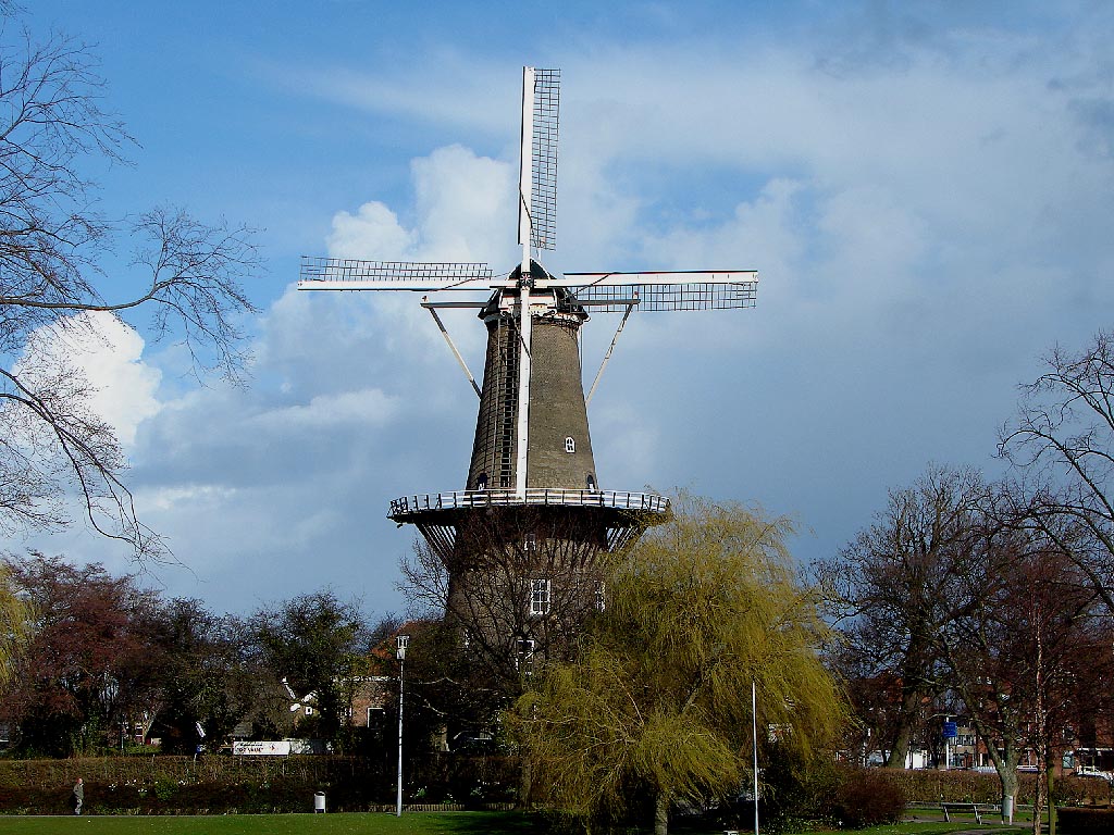 molen.jpg